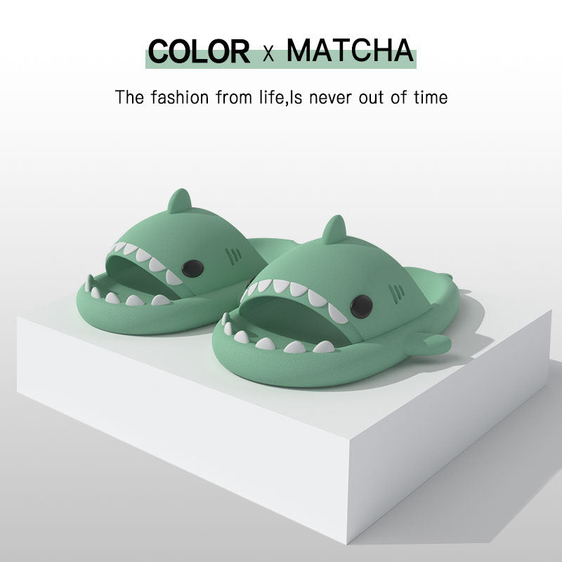 Funny Shark Slides